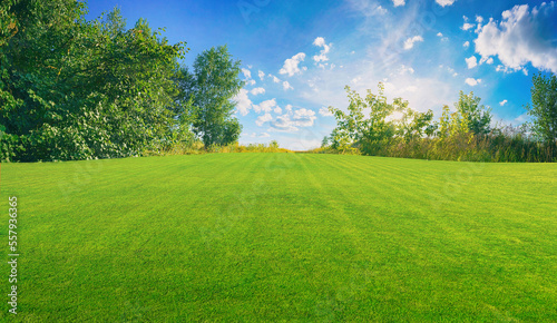 Fotografie, Tablou Beautiful wide format image of a manicured country lawn surrounded by trees and shrubs on a bright summer day