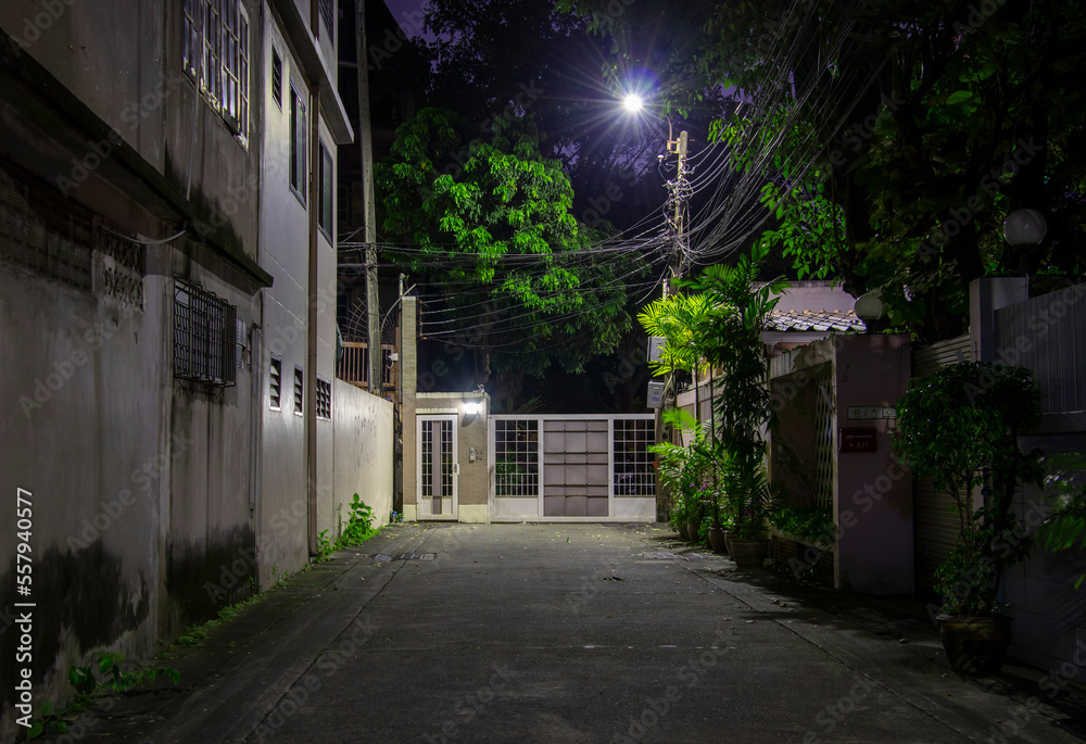  illuminated alley with gate and door at night