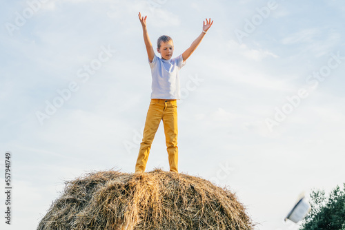 Canvas Print Happy school aged boy joyfully stand at top of haystack with raised arms