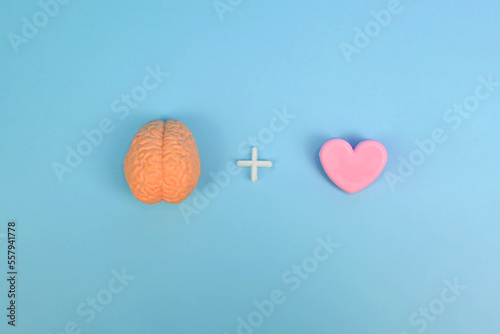 Brain plus Heart symbolises conscious mind and subconscious mind, HOW OUR SUBCONSCIOUS MIND INFLUENCES OUR CONSCIOUS MIND. Correlation between heart ,brain. hypnosis, NLP therapy photo