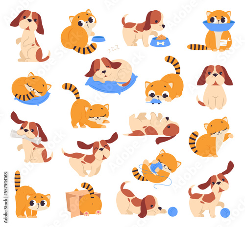 Set of cute puppy and kitten. Adorable little pet animals playing, sleeping and eating cartoon vector