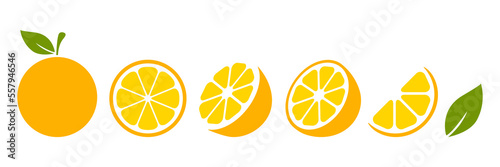 Orange fruits slices set. Tangerine collection. Vector illustration isolated on white.