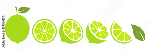 Lime slices set. Citrus green fruits collection. Vector illustration isolated on white.