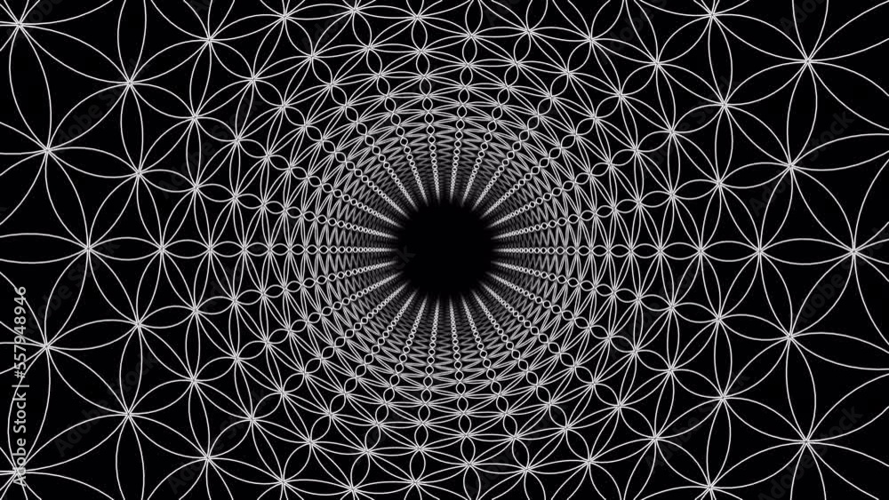 Flower of life tunnel