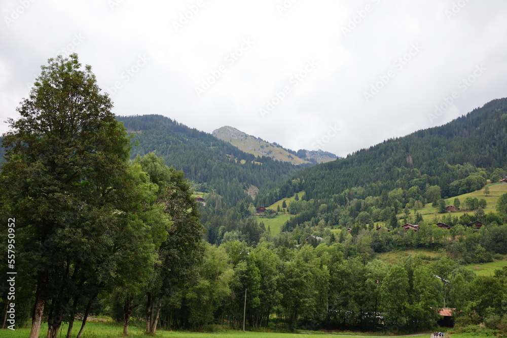 View on a mountain of the department of Haute-Savoie in the Auvergne-Rhône-Alpes region of Southeastern France