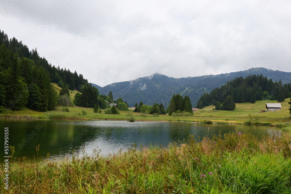 View on a lake of the department of Haute-Savoie in the Auvergne-Rhône-Alpes region of Southeastern France