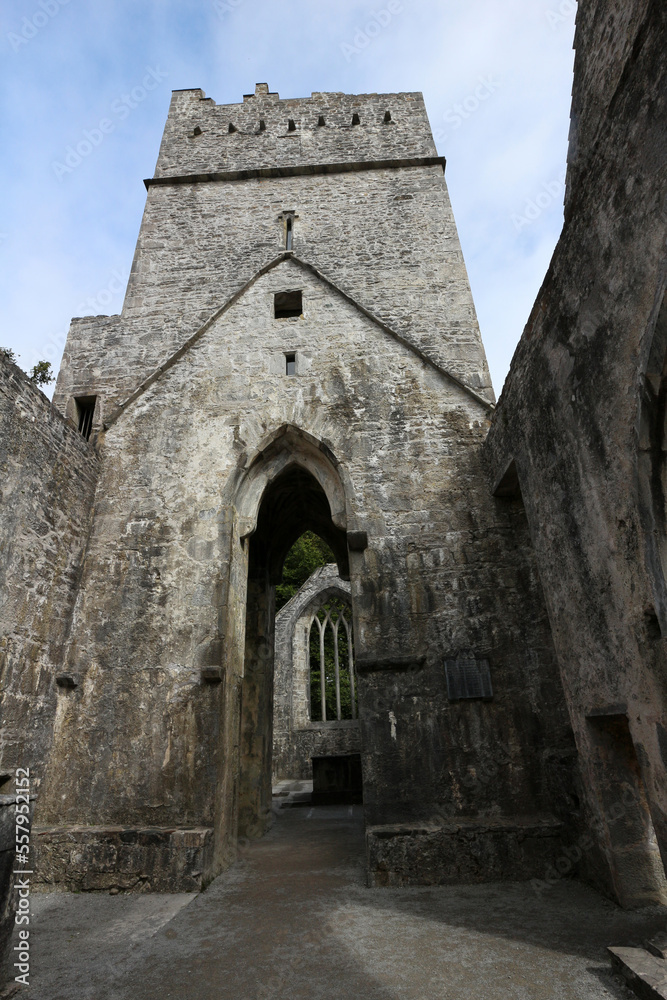 Muckross Abbey - Killarney National Park - Kerry - Ireland