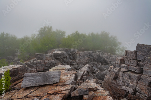 Blackrock Summit in the Fog, Shenandoah National Park Virginia USA, Virginia