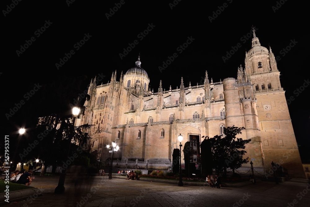 Naklejka premium Close-up of famous Salamanca cathedral at night