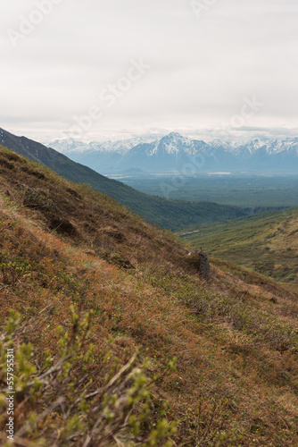 landscape in the mountains