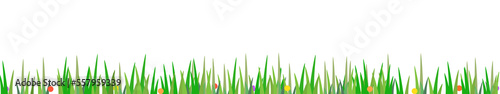 striscia orizzontale con fili d'erba e fiori colorati su sfondo trasparente photo