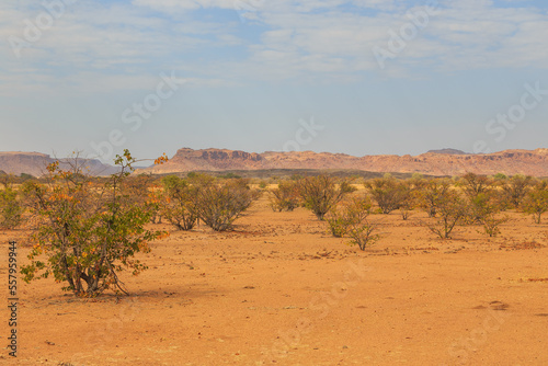 Namibian landscape Damaraland, homelands in South West Africa, Namibia. © Tomasz Wozniak