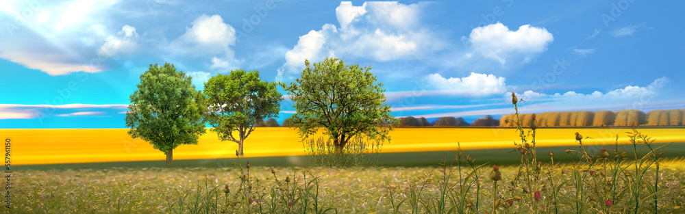   nature landscape sunset Meadow of wheat trees and wild   field sunslight blue sky with white clouds banner