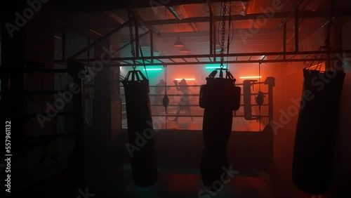 Boxer in the boxing gym. Bandages his hands. Sparring in the ring. Boxer jumping rope. Exercise with ropes. Round one. Fog in the ring. Zetsky sport. Beautiful backlight. World boxing champion.

 photo