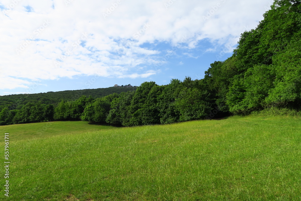 slovakia location in nature green grass and green forest with blue sky and white clouds in slovakia