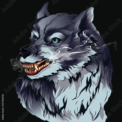 gray wolf growling  in the night