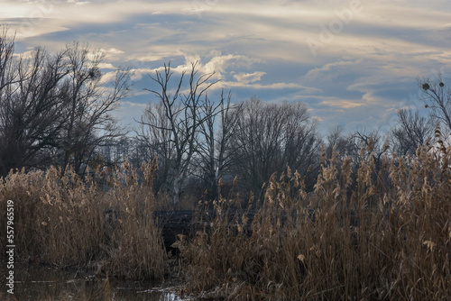 Early evening winter landscape around the pond. Dramatic clouds in the sky.