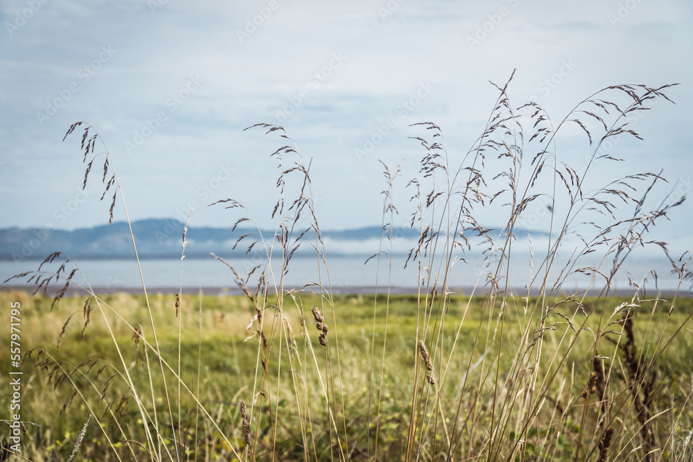 Obraz premium fog over the sea