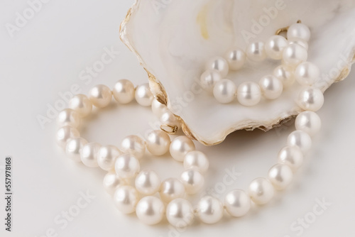 beautiful shell oyster empty with pearls