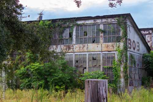 Abandoned and run down orange factory covered in vines and foliage