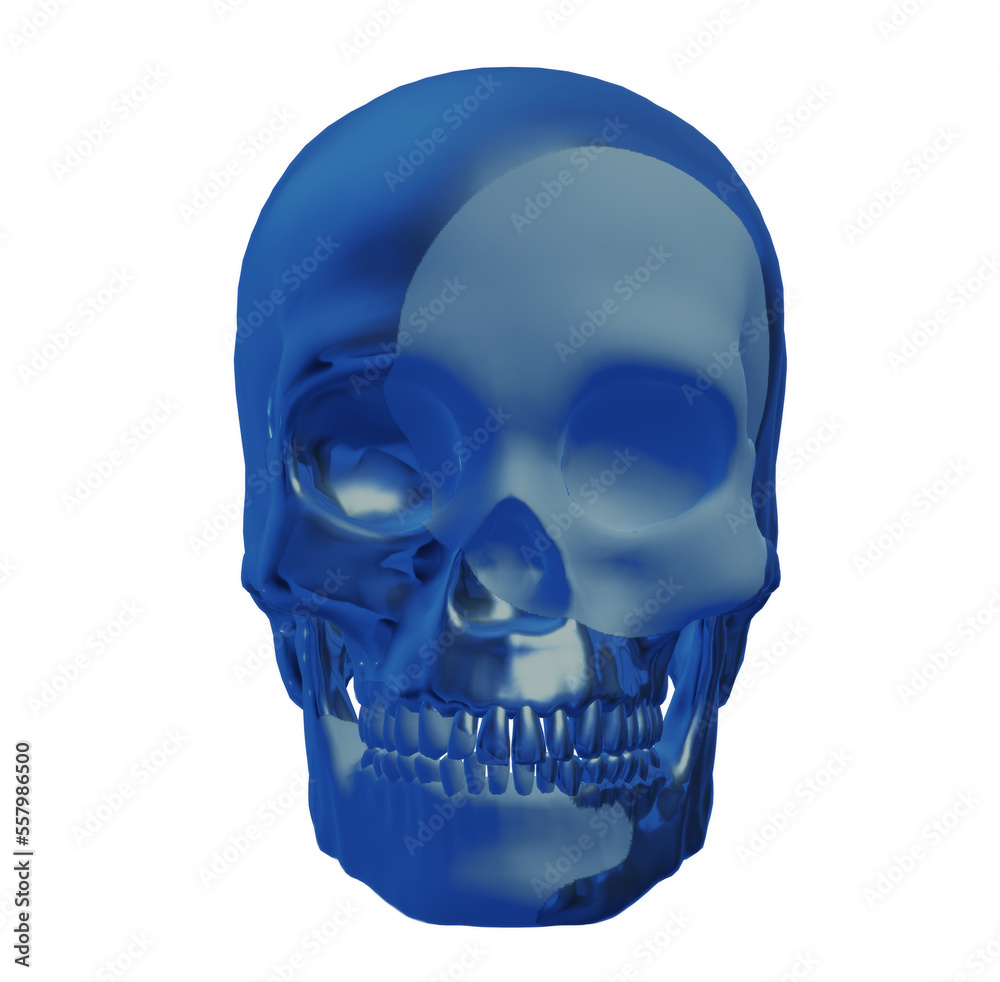 Obraz premium skull skeleton 