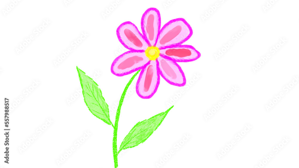 png image of a fuchsia flower png image of a fuchsia flower