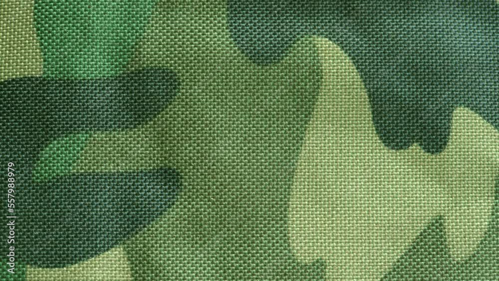Simple dark green military camouflage pattern, synthetic army camo material textile background, generic structure, bag, clothing surface texture, flat textile backdrop, full frame, nobody, no people