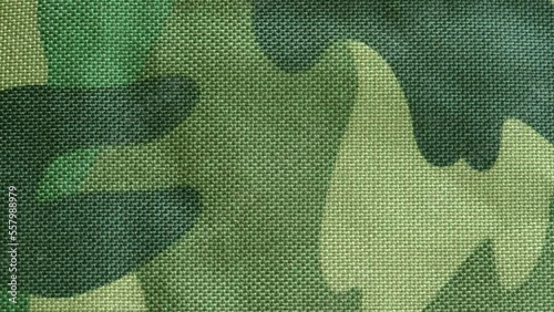 Simple dark green military camouflage pattern, synthetic army camo material textile background, generic structure, bag, clothing surface texture, flat textile backdrop, full frame, nobody, no people