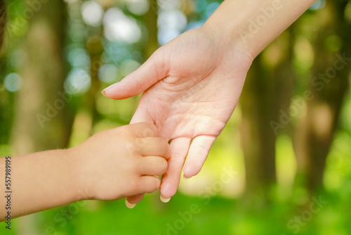 hands Happy parents and child outdoors in the park © Kostia