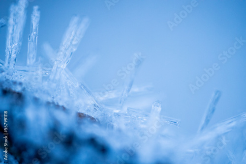 Ice crystals on tree branches. Ice needles on a branch. Frost crystals covering the branch. A crystallized tree branch. Beautiful winter pattern of ice crystals of snowflakes on pine needles on a bran