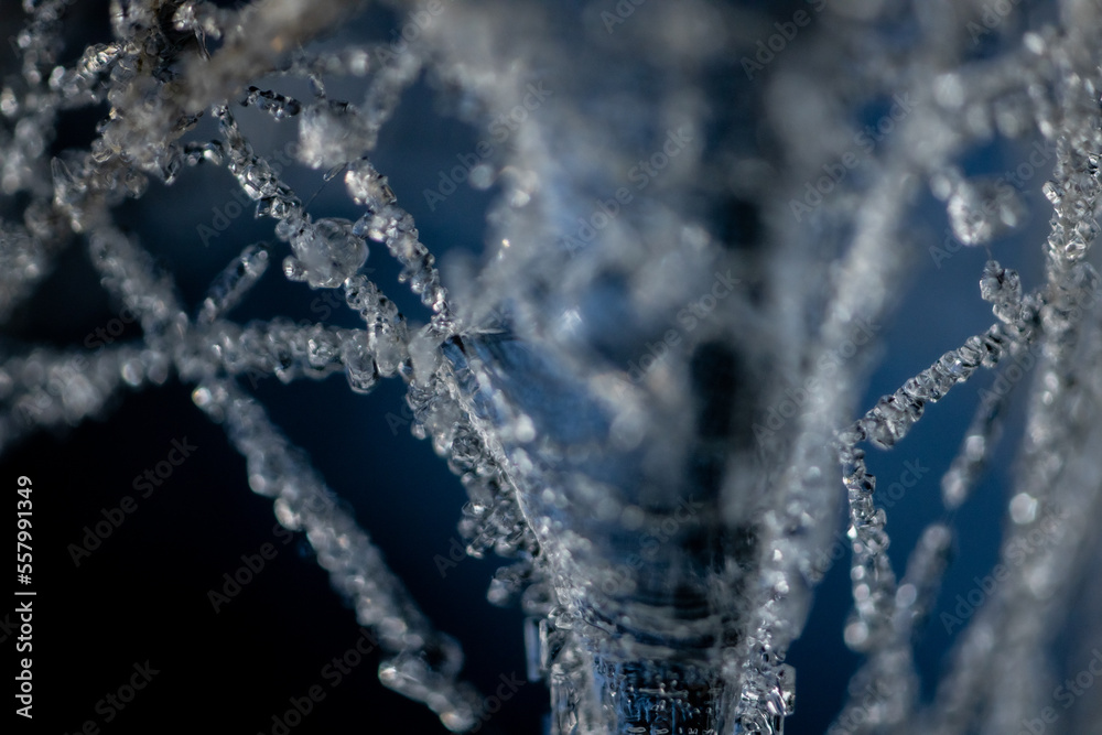 Ice crystals on a spider web. Ice needles on the net. Frost crystals covering the spider web. Crystallized spider thread. Beautiful winter pattern with snowflake ice crystals on frozen net close-up on Ice crystals on a spider web. Ice needles on the net. Frost crystals covering the spider web. Crystallized spider thread. Beautiful winter pattern with snowflake ice crystals on frozen net close-up on