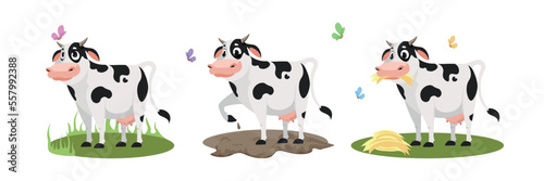 Vector illustration of cute and beautiful cows in cartoon style. Cute characters of a cow with butterflies on the lawn, land and eating hay on a white background.