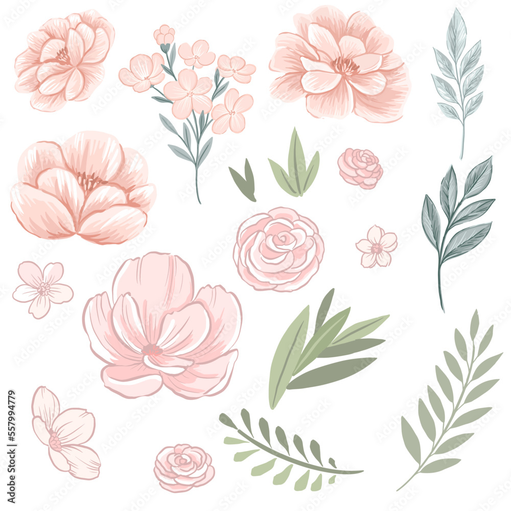 a set of Pink simple flowers and green leaves. Vector hand drawn illustrations
a set of Pink simple flowers and green leaves. Vector hand drawn illustrations