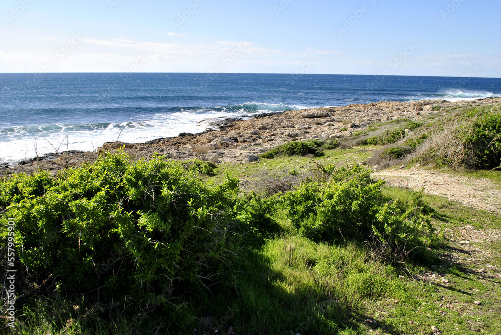 beach and sea