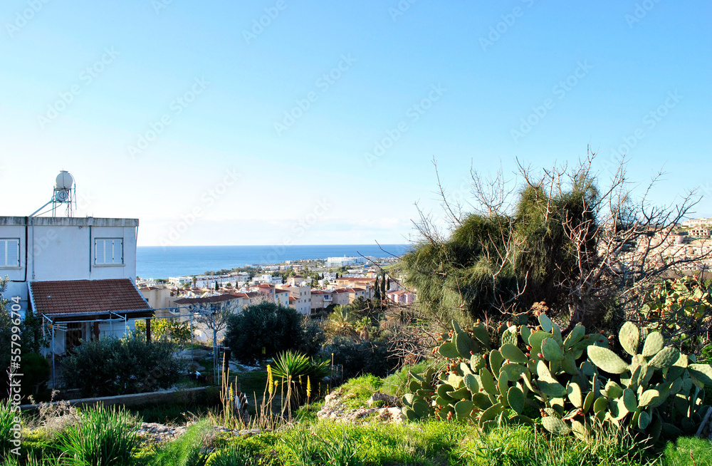 Fototapeta premium house on the hill