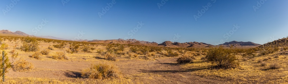 Panorama shot of Death Valley desert flora and sand with mountains at sunny day,  america