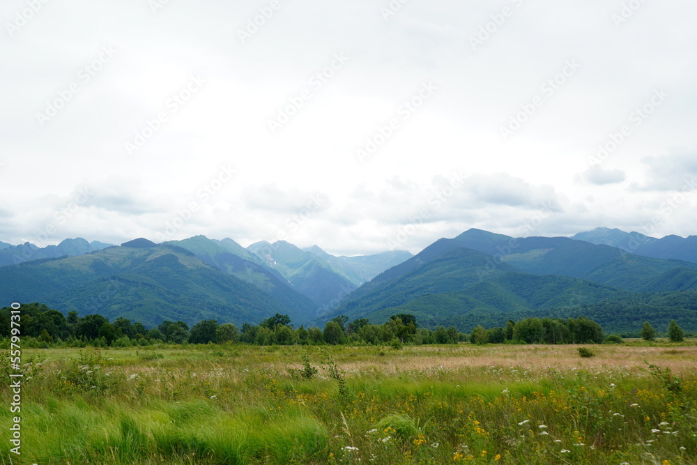 Nature landscape with Fagaras mountains, forest and grassfield in Transylvania, Romania on cloudy summer day Nature landscape with Fagaras mountains, forest and grassfield in Transylvania, Romania on cloudy summer day