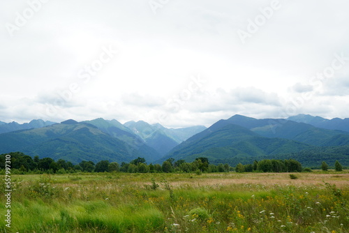 Nature landscape with Fagaras mountains, forest and grassfield in Transylvania, Romania on cloudy summer day