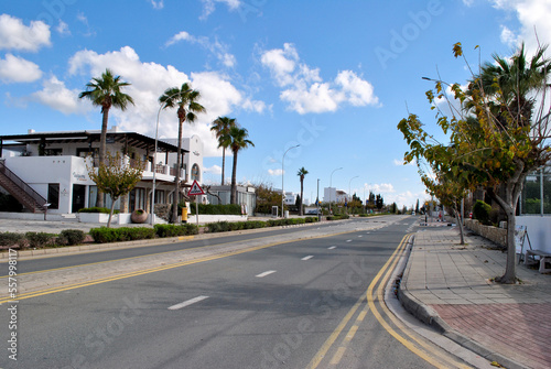 Road with palm trees in Cyprus © Dmytro