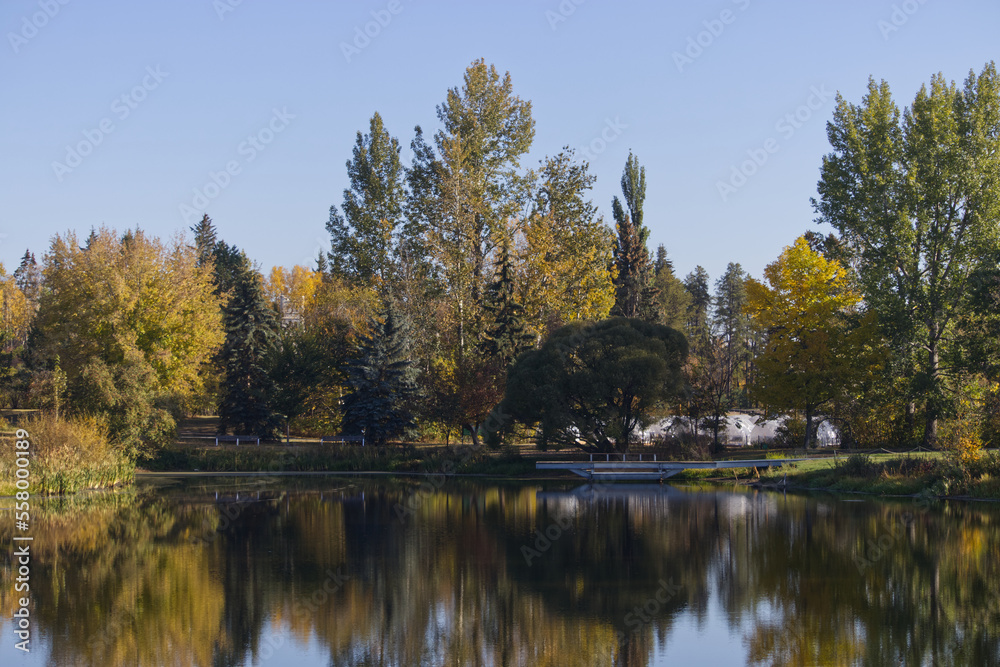 Autumn Trees against a Blue Sky