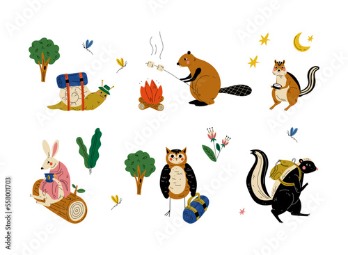 Forest animals hiking on nature set. Chipmunk, beaver, snail, rabbit, owl walking with backpack, roasting marshmallow on bonfire cartoon vector
