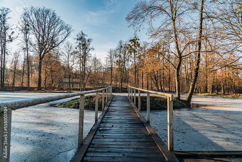 Park pałacowy w Kończycach Wielkich na Śląsku w Polsce zimą © Franciszek