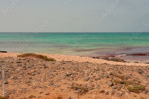 Tropical sandy beach with clear water as a backdrop.