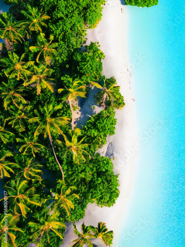Beautiful tropical beach, aerial shot, drone photo, Generative AI