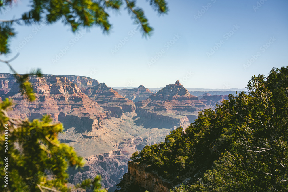 grand canyon national park on a sunny day