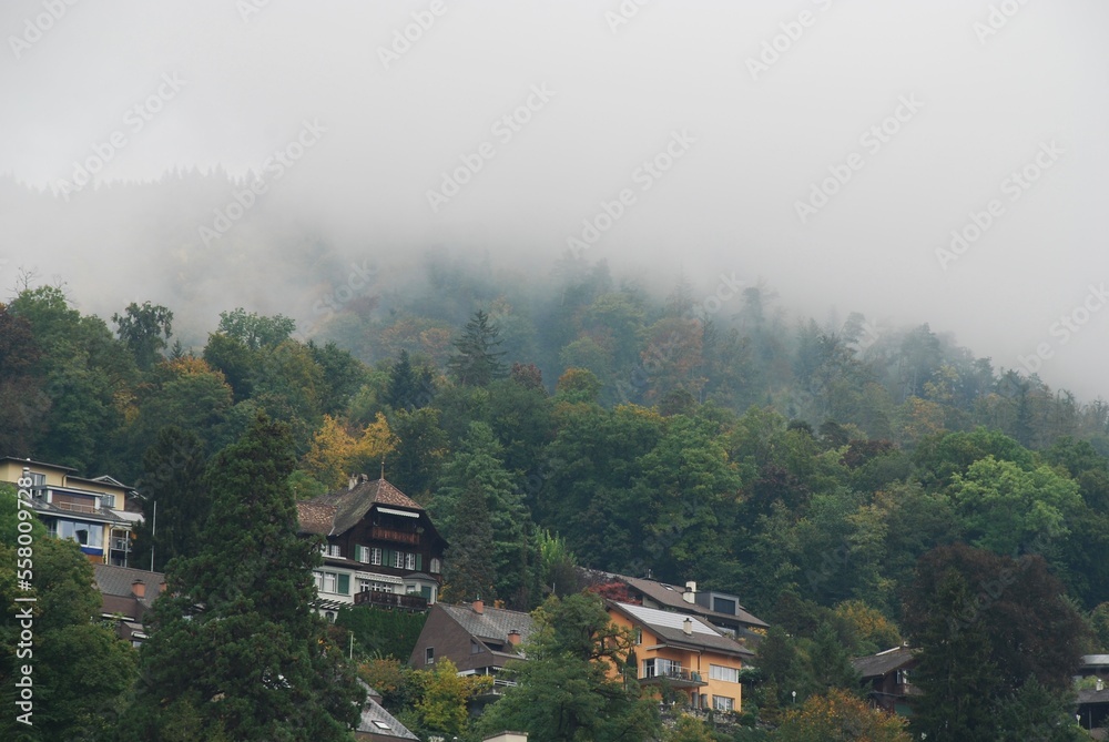 Fog from the mountains covering the houses in the forest.