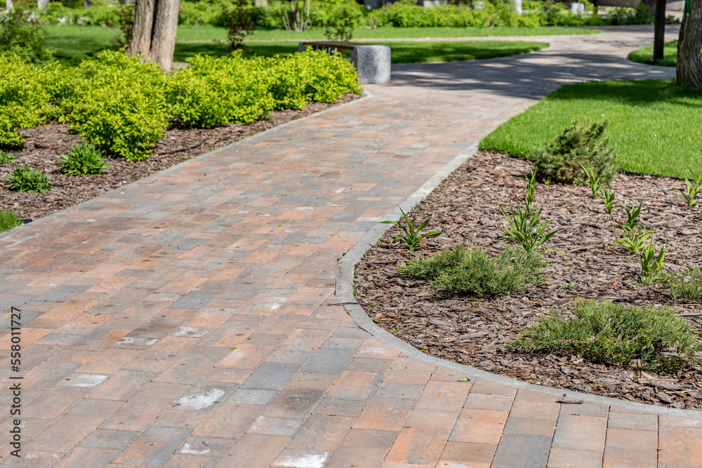 Pedestrian paths, lawns and flower beds, mulching with tree bark. Design and architectural solutions for the garden, backyard, park.