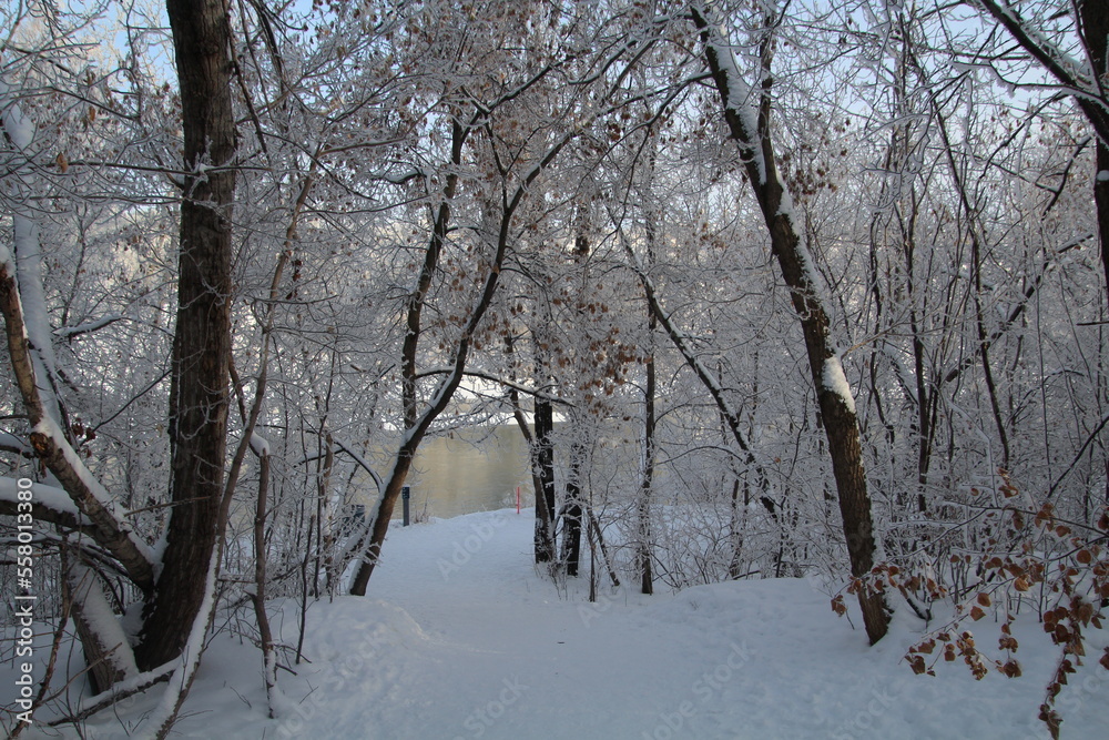 Frosted Trail, Gold Bar Park, Edmonton, Alberta Frosted Trail, Gold Bar Park, Edmonton, Alberta