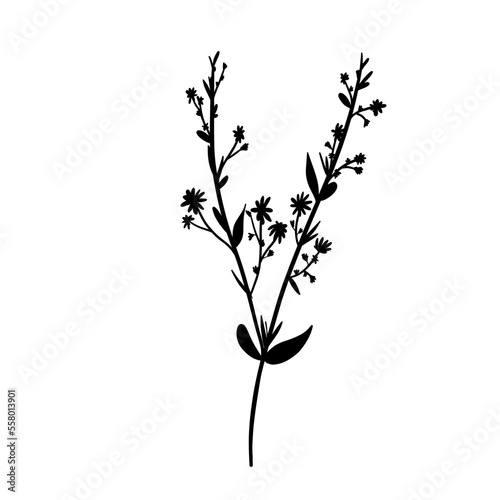 Silhouette Wild Flower Branch. Floral Illustration. Hand drawn black meadow or field elegant herb. Modern botanical rustic greenery. © Marharyta
