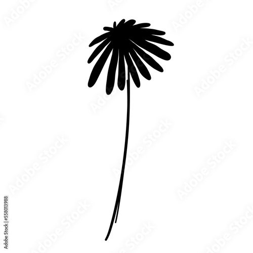 Silhouette Daisy Wild Flower Branch. Floral Illustration. Hand drawn black meadow or field elegant herb. Modern botanical rustic greenery.